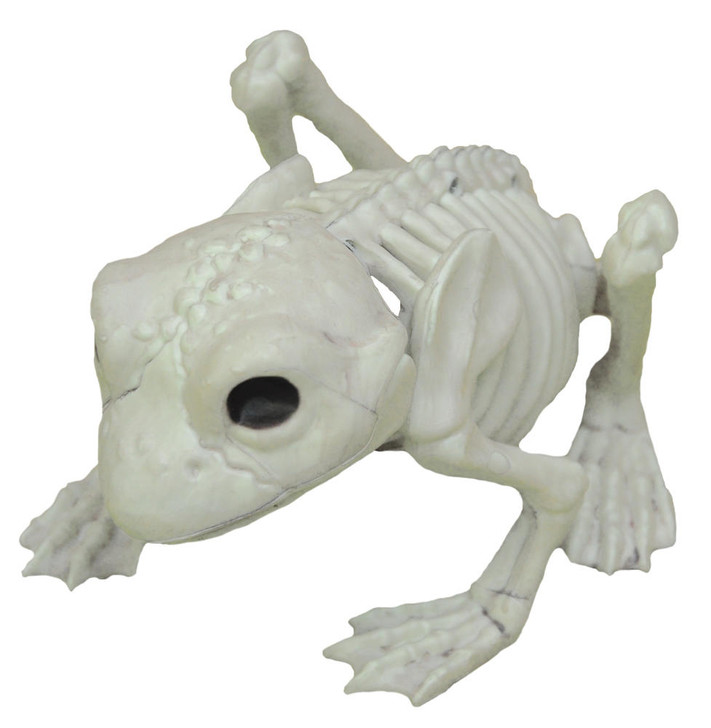 Seasons USA Seasons USA Frog Skeleton