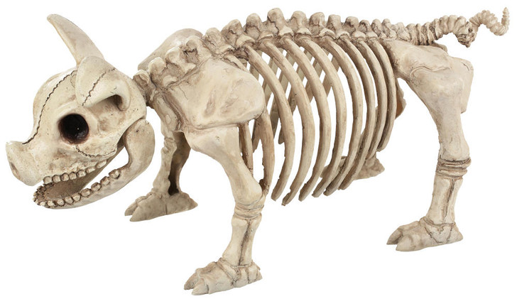 Seasons USA Seasons USA Pig Skeleton