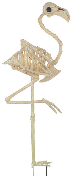 Cream-colored plastic flamingo skeleton yard stake standing on one leg with curved neck and open rib cage detail.