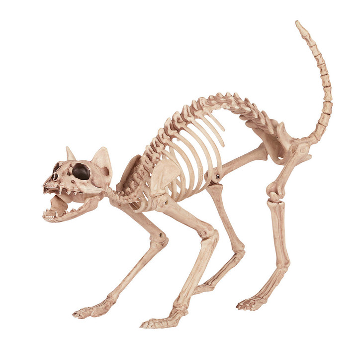Seasons USA Seasons USA Skeleton Kitty Bonez