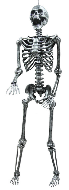 Still Gray Sunstar 5' Light-Up Skeleton