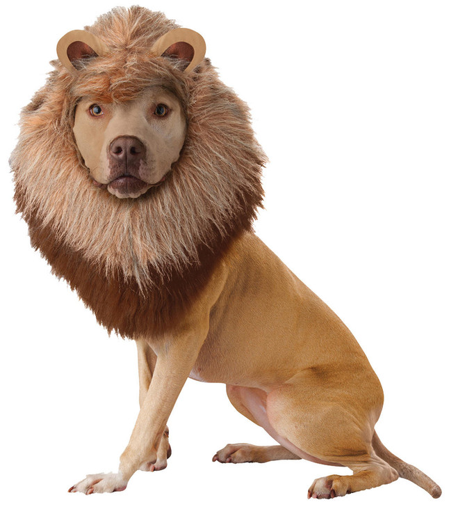 California Costumes California Costumes Lion Dog Costume