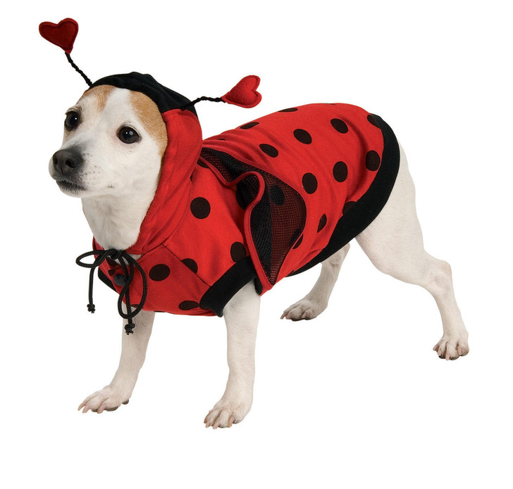 Rubies Rubies Lady Bug Pet Costume
