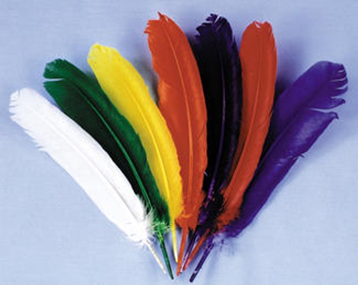 American Plume American Plume 12 Indian Feather