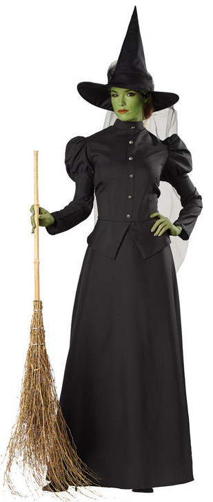 Seasonal Visions Seasonal Visions Womens Witch Classic Deluxe Costume