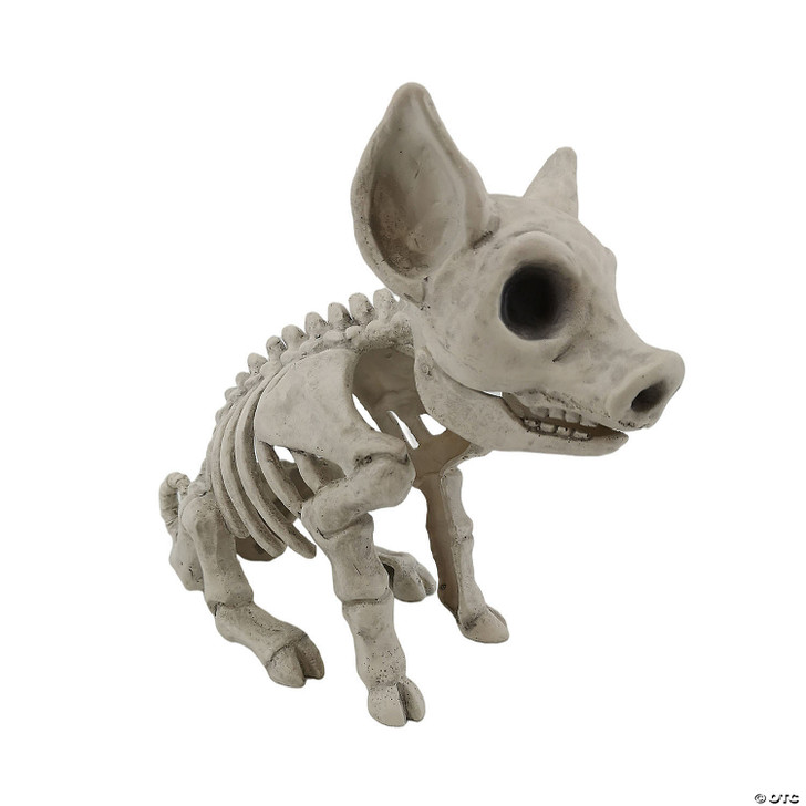Pig Skelenton