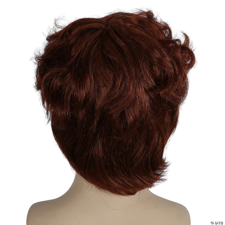 Men's Shaggy Wig