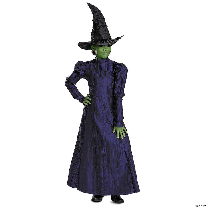 Toddler Deluxe Wicked Elphaba Purple Dress Costume