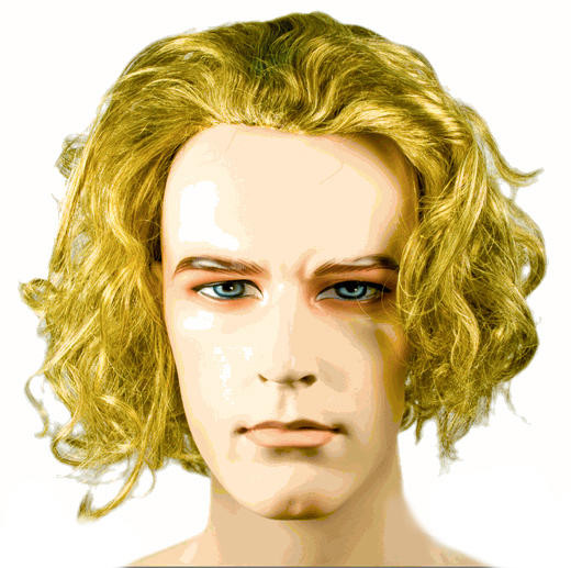 Dark Knight Rises Joker Wig