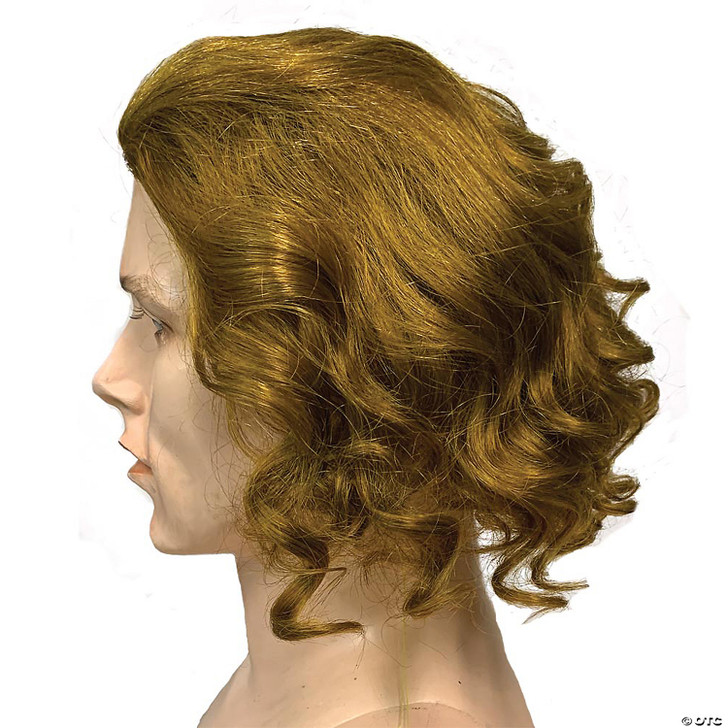Dark Knight Rises Joker Wig