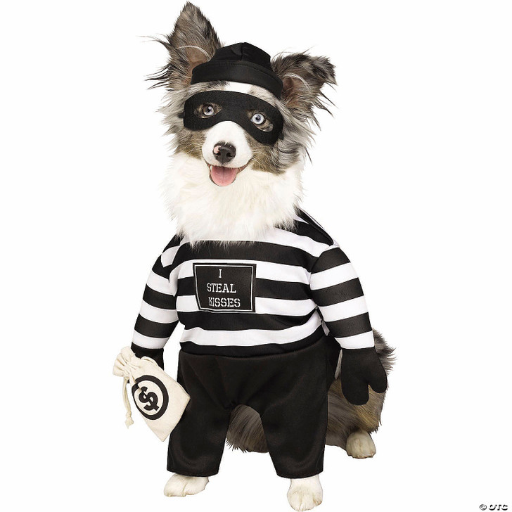 Robber Pup Pet Costume