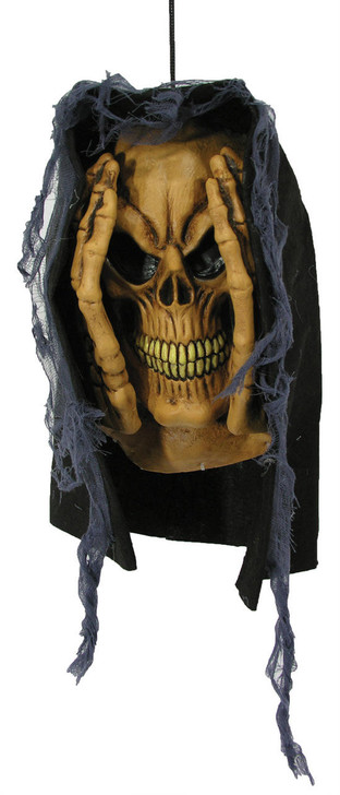 Forum Novelties Forum Novelties Peeping Tom Window Prop Skull