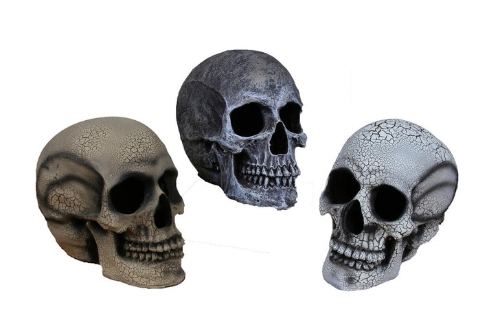 Fun World Fun World Small Realistic Skull