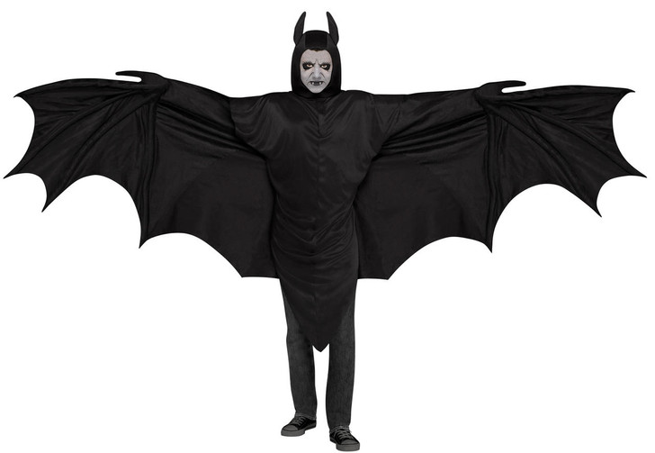 Fun World Fun World Wicked Wing Bat Costume