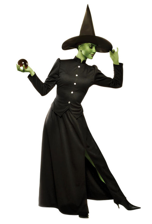 Goddessey Goddessey Womens Plus Size Classic Witch Costume