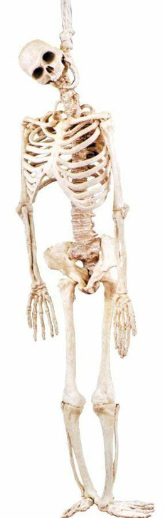 Morris Costumes Morris Costumes Skeleton Latex Full Body