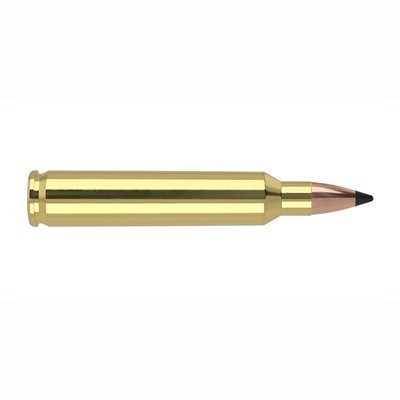 Nosler Varmageddon .204 Ruger 32 gr PolyTip ammo