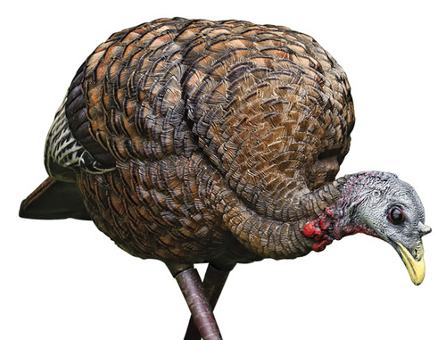 Avian-X LCD Feeder Hen Turkey Decoy Dura-Rubber Multi-Color