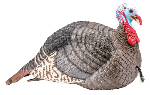 HS Strut 100003 Strut-Lite Jake Turkey Decoy Multi-Color Lightweight Foldable with Ground Stake