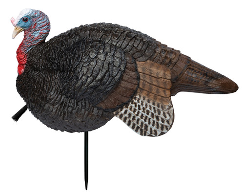 Primos 69074 Lil' Gobstopper Jake Turkey Decoy, Multi Color