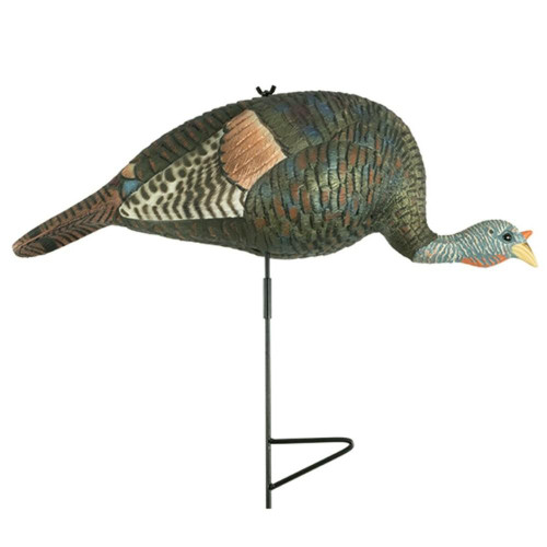 The Grind Bugging Hen Turkey Decoy with Motion Stake