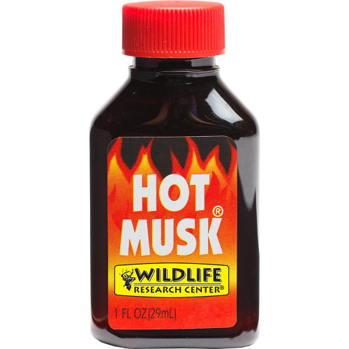 Wildlife Research Hot Musk Buck Lure 1 oz Bottle