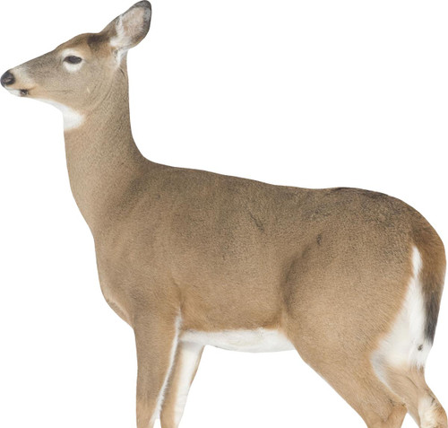 Montana Decoy Co Dreamy Whitetail Doe Hunting Decoy