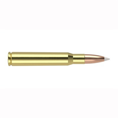 Nosler 46134 Trophy Grade Nosler AccuBond  180 Grain .30-06 Springfield