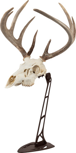 Allen EZ Mount Centerpiece Skull Display Stand - Brown