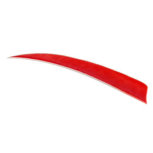 Trueflight 4 in. Shield Cut Red Right Wing Arrow Feathers 100 Pack