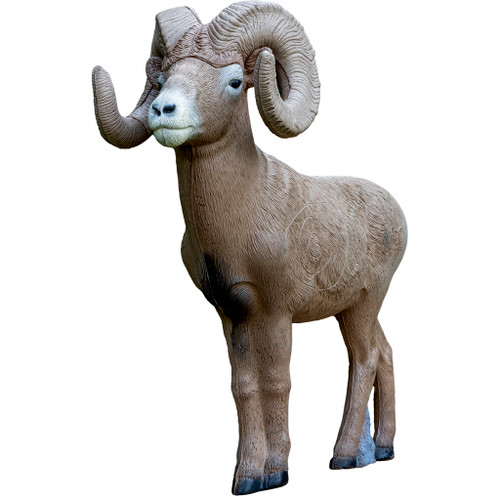 Rinehart 1/2 Scale Signature Bighorn Sheep Archery Target