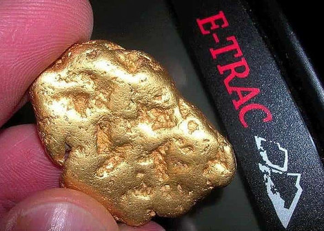 E-TRAC Finds Gold Nugget