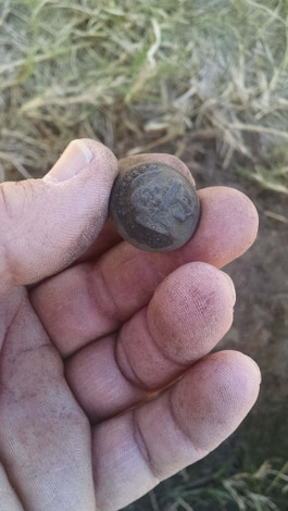 Civil war buttons metal detecting find