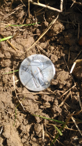 Bucket List Metal Detecting Find