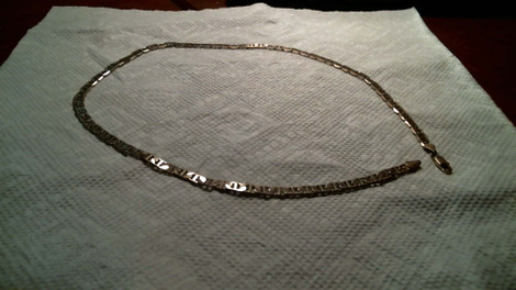 Snake in the Sand Detecting Find