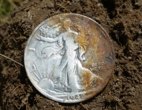 Silver AT Pro Detecting Find