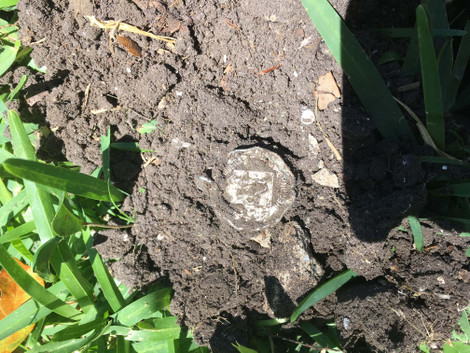 University of Houston Metal Detecting Find