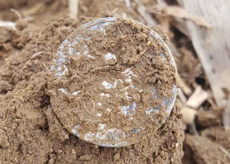 1881 Morgan Silver Dollar Metal Detecting Find