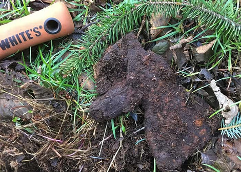 Craftsman Axe Head Metal Detecting Find