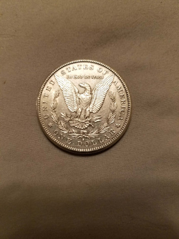 1881 Morgan Dollar Find Off MS Gulf Coast