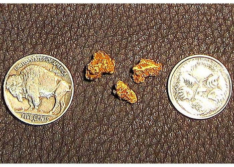 Finding Gold with the SDC 2300