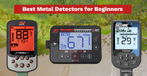 Best Metal Detectors for Beginners in 2026: 8 Expert Picks
