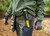 Nokta AccuPOINT Waterproof Pinpointer lifestyle photo of the AccuPOINT on a man's belt outdoors