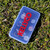 Kellyco Finds Box Treasure Box Coin Saver on the grass 