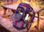 Nokta DetectoBag Backpack lifestyle photo on the picnic table with front open showing storage area