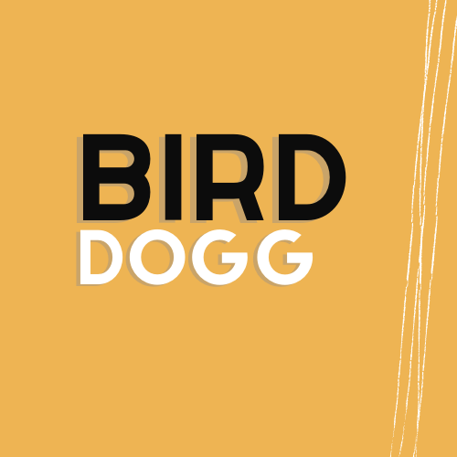 Bird Dogg at Kellyco Metal Detectors