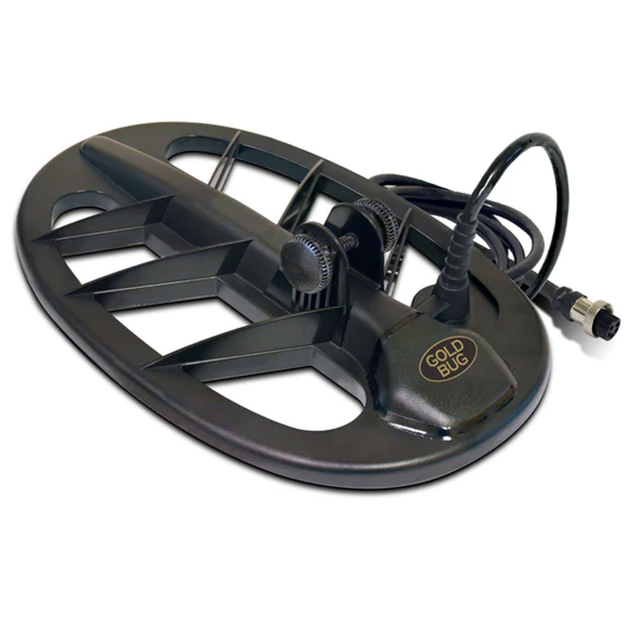 ゴールドトーチコラール　1ヘッド セントラルコーラル | オーストラリア産 ハナサンゴ 24K Gold Torch お