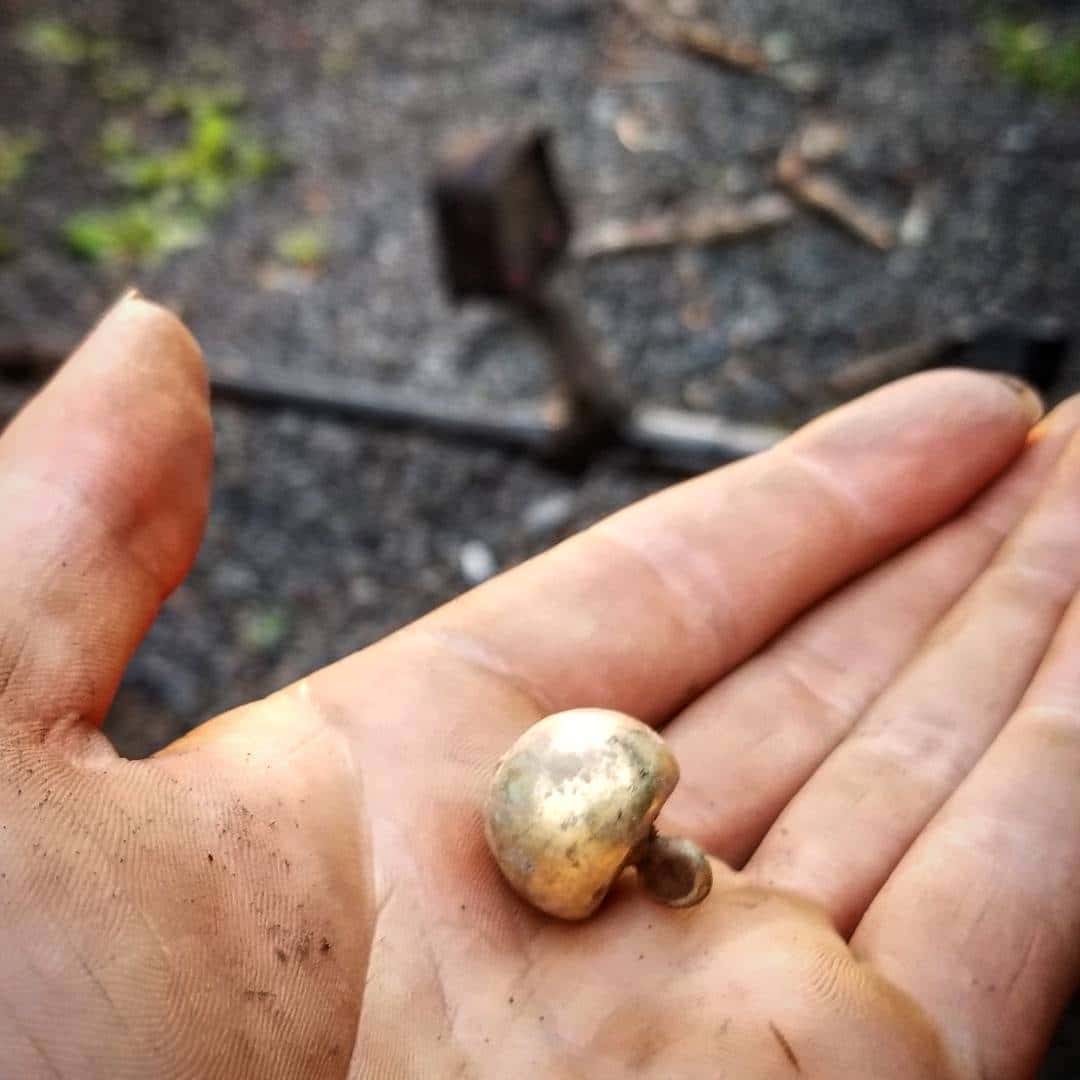 Beautiful Button Metal Detecting Find Kellyco Metal Detectors