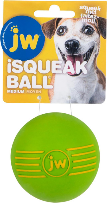 JW iSqueak Ball Durable Natural Rubber Dog Toy (Assorted Colors)
