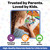 Bendon Create-A-Face Sticker Book - Pretty Princess- Ages 3+